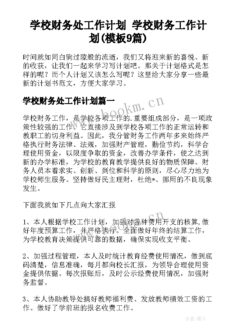 学校财务处工作计划 学校财务工作计划(模板9篇)