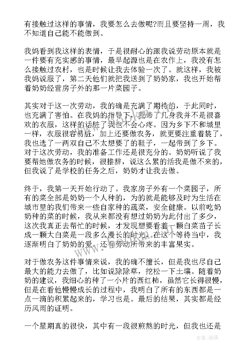 2023年劳动与社会实践报告 劳动者社会实践报告(优质5篇)