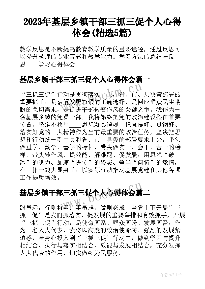 2023年基层乡镇干部三抓三促个人心得体会(精选5篇)