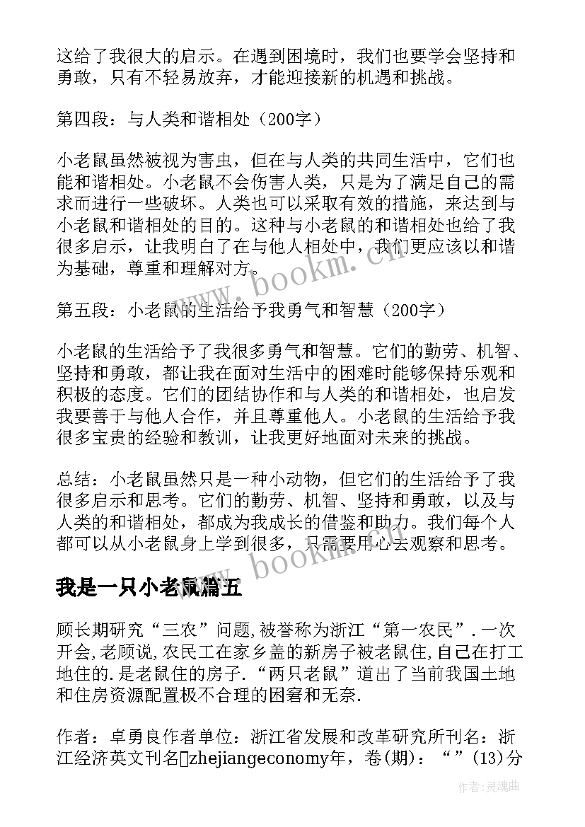 我是一只小老鼠 小老鼠心得体会(优质11篇)