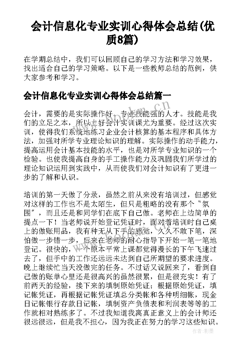 会计信息化专业实训心得体会总结(优质8篇)