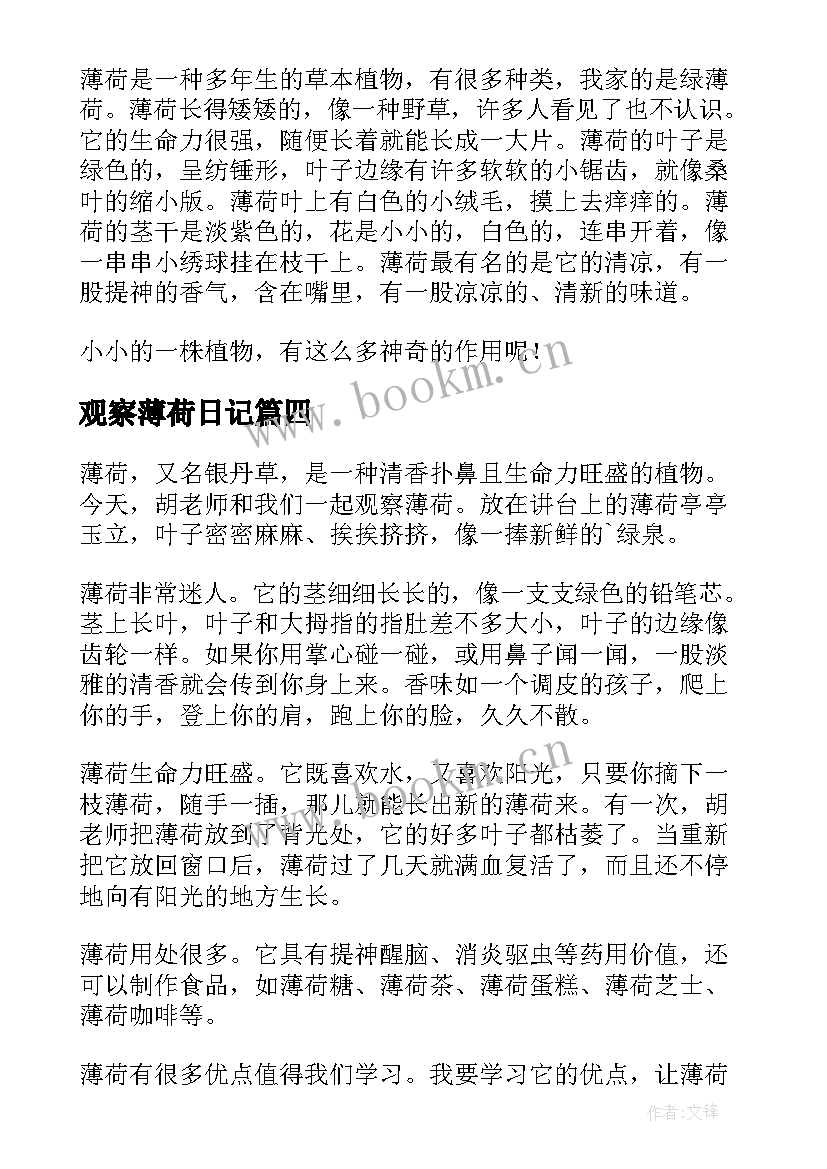 2023年观察薄荷日记(精选6篇)