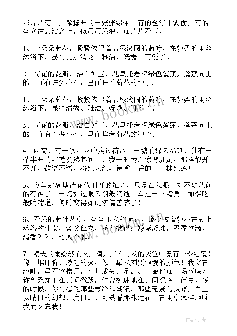 2023年荷花的好词佳句摘抄 荷花的好词好句摘抄(通用8篇)