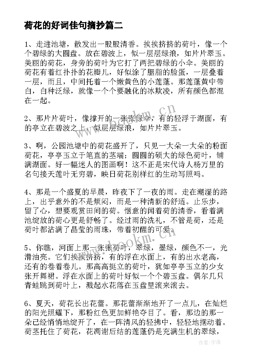 2023年荷花的好词佳句摘抄 荷花的好词好句摘抄(通用8篇)