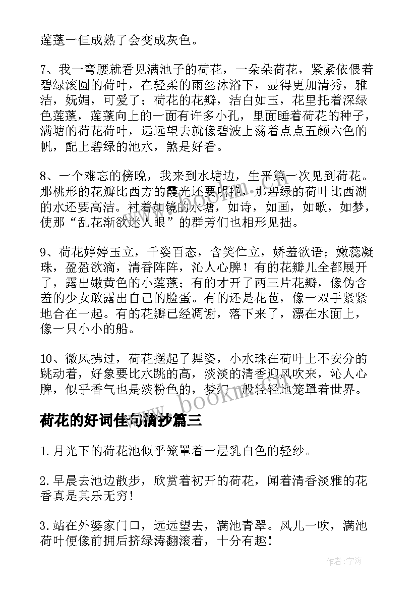 2023年荷花的好词佳句摘抄 荷花的好词好句摘抄(通用8篇)