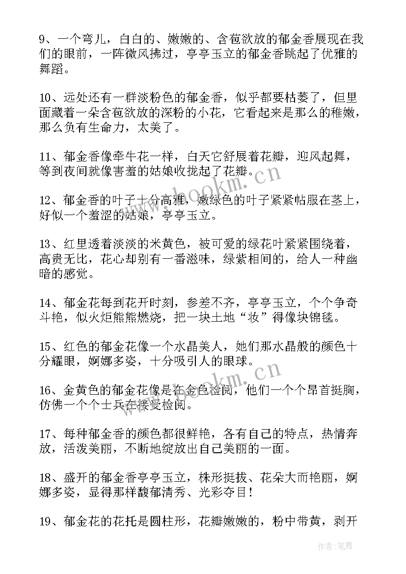 郁金香的好句子摘抄短句(大全8篇)