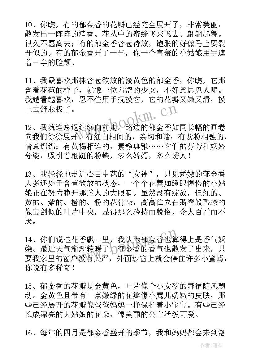 郁金香的好句子摘抄短句(大全8篇)