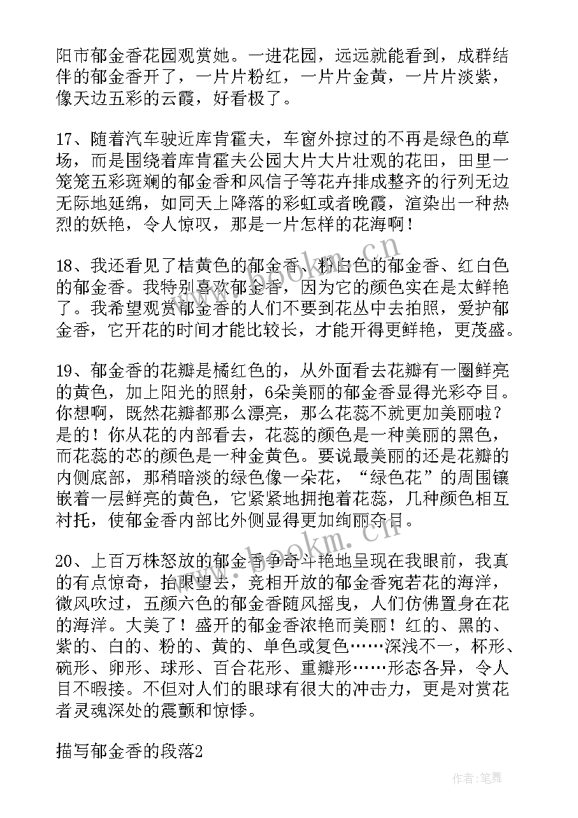 郁金香的好句子摘抄短句(大全8篇)