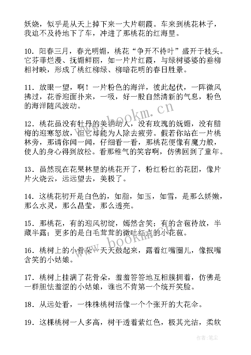 桃花句子经典语录(模板10篇)