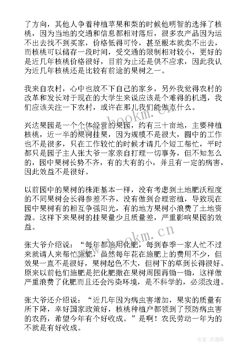 大学生劳动教育实践报告(模板10篇)