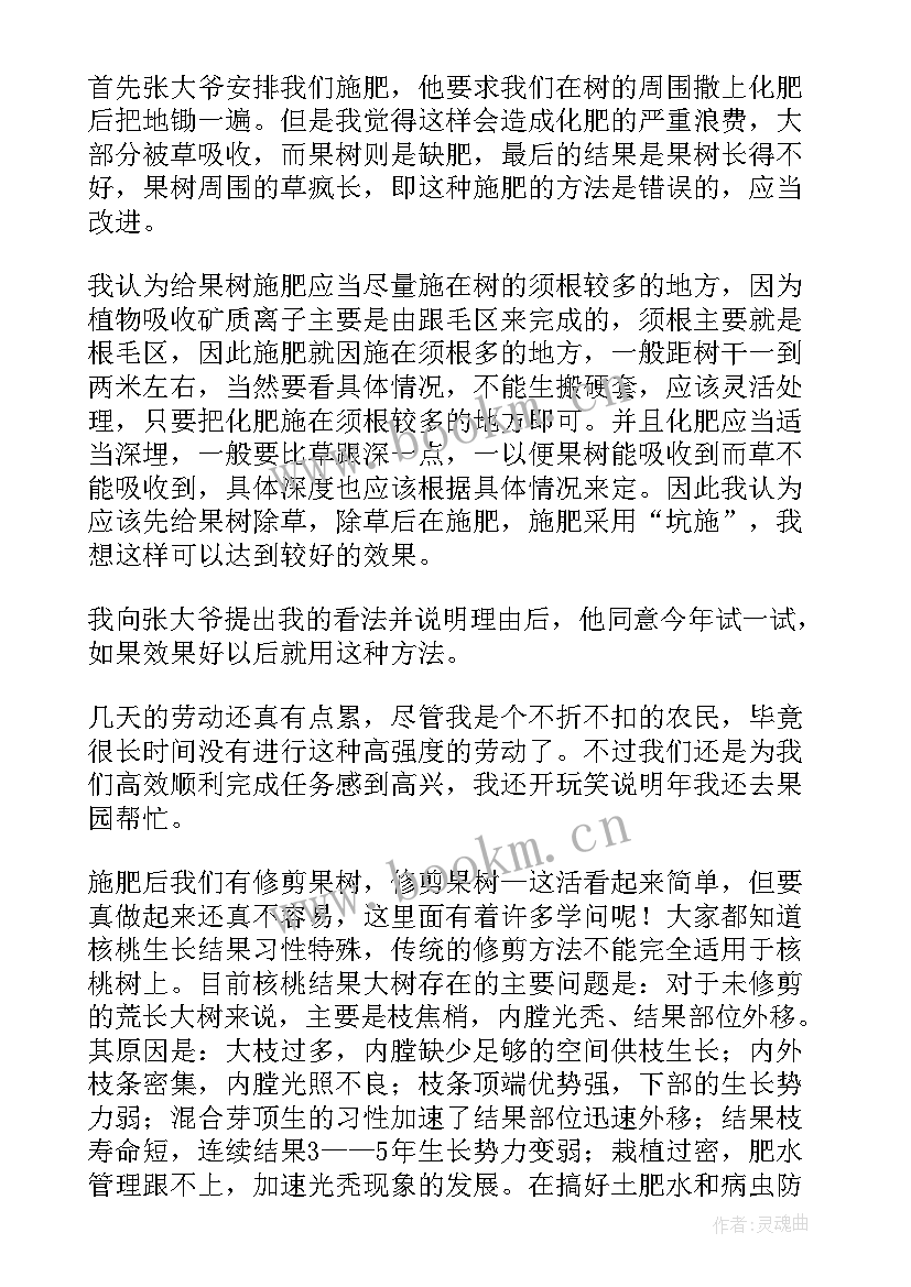 大学生劳动教育实践报告(模板10篇)