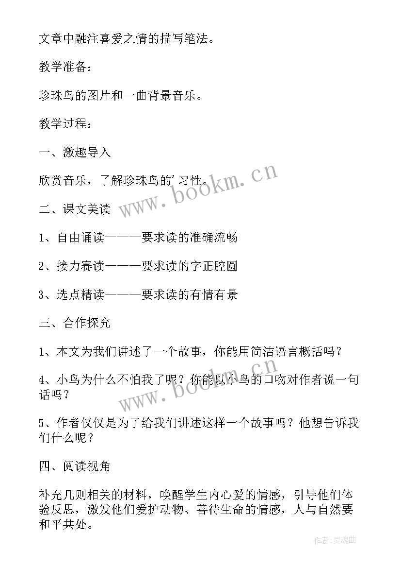 最新五年级语文珍珠鸟教案简案(精选8篇)