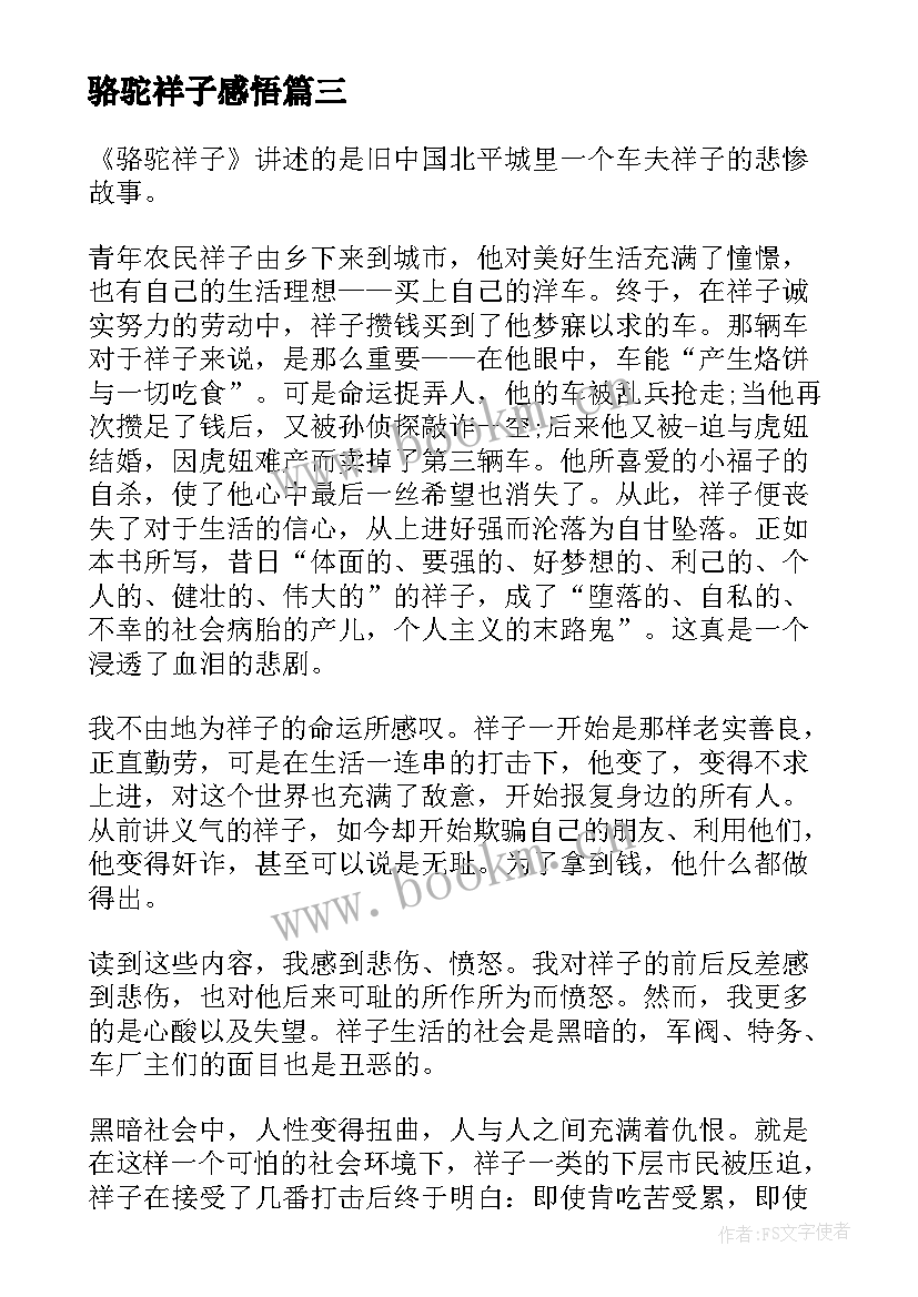 骆驼祥子感悟(优质9篇)