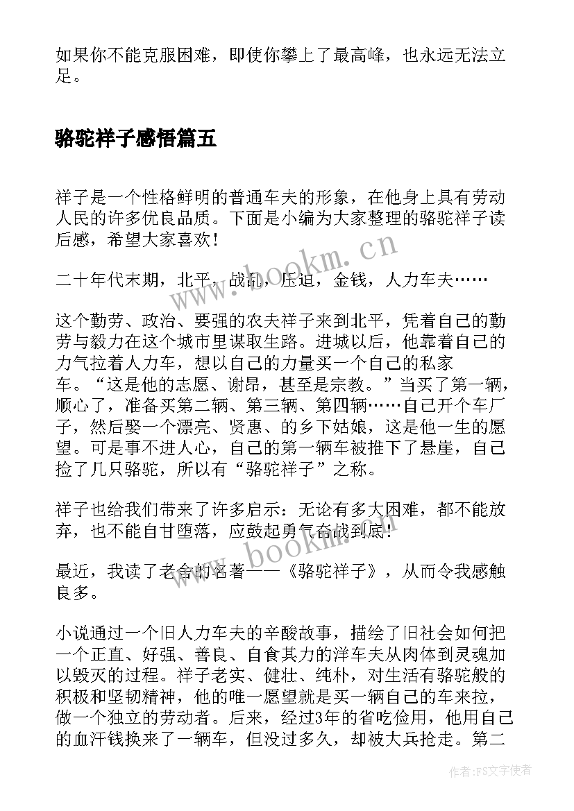 骆驼祥子感悟(优质9篇)