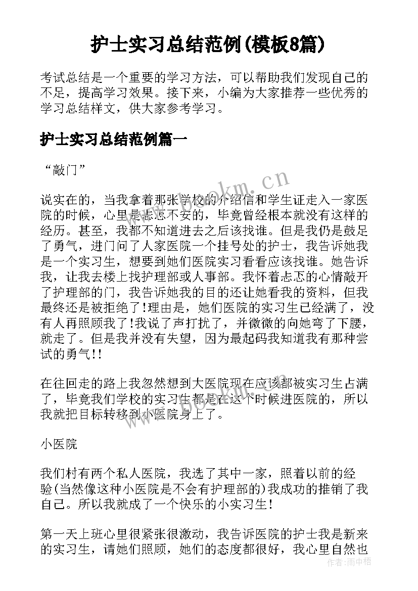 护士实习总结范例(模板8篇)