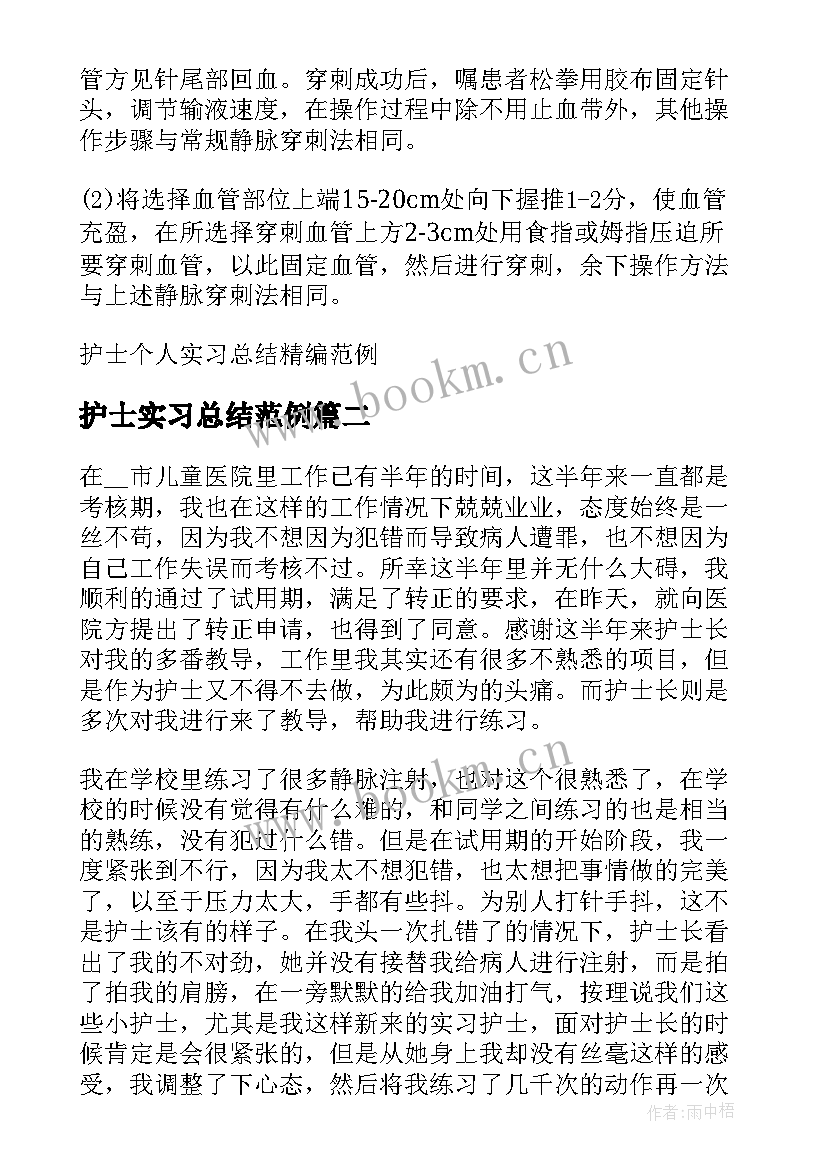 护士实习总结范例(模板8篇)