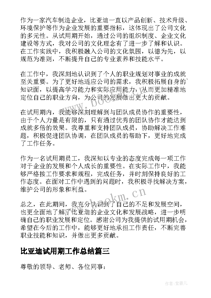 比亚迪试用期工作总结(精选8篇)