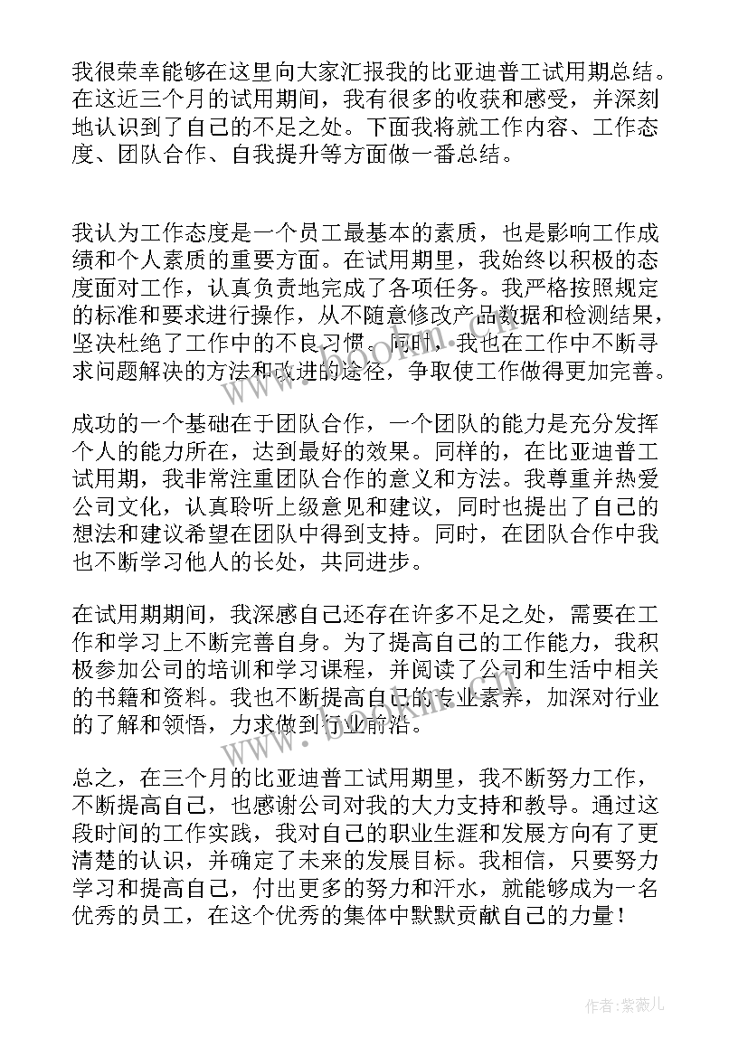 比亚迪试用期工作总结(精选8篇)