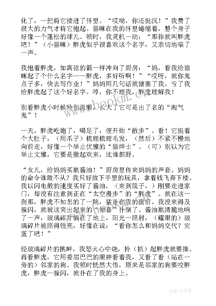 2023年小学生数学日记精彩片段(实用8篇)