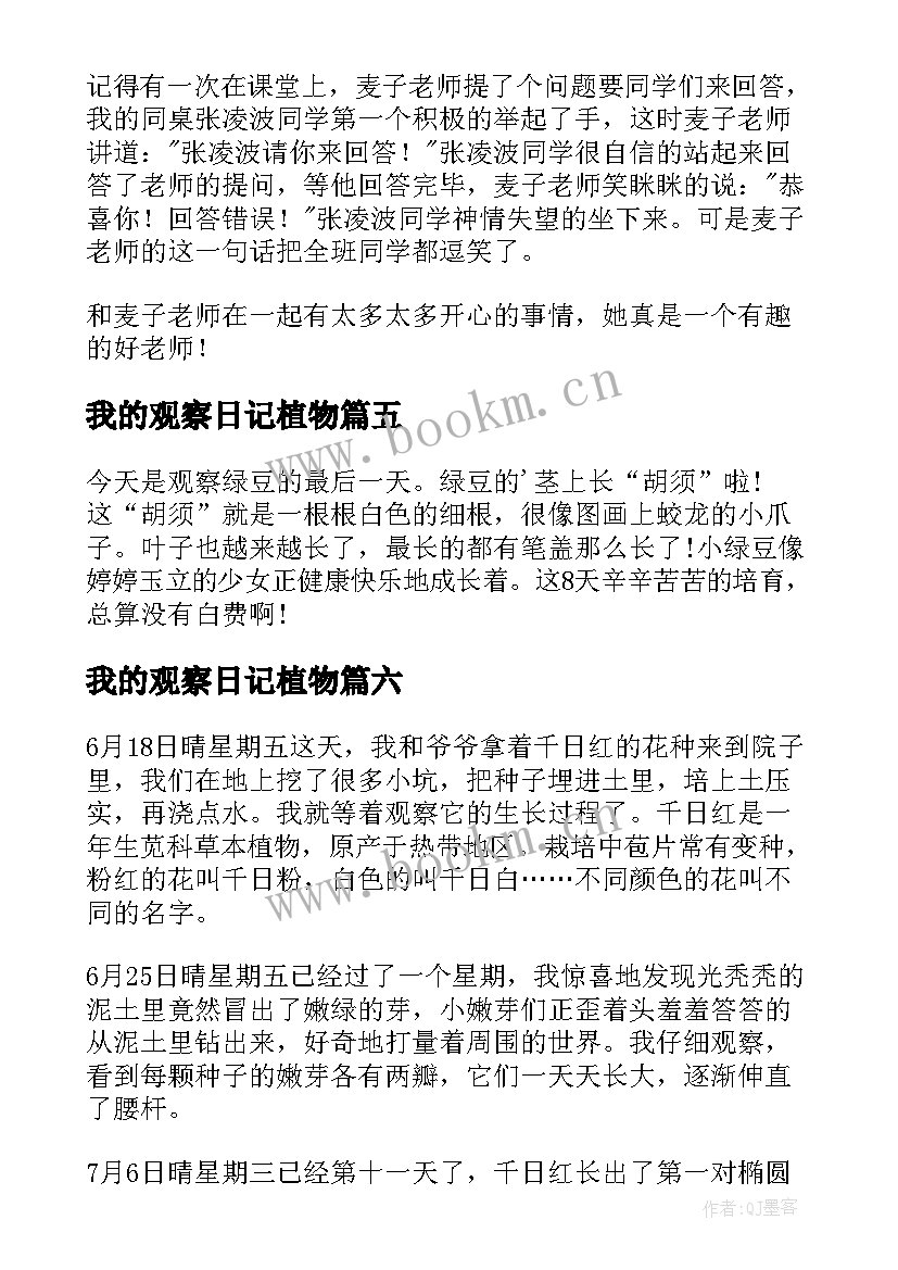 我的观察日记植物 我的观察日记(精选13篇)