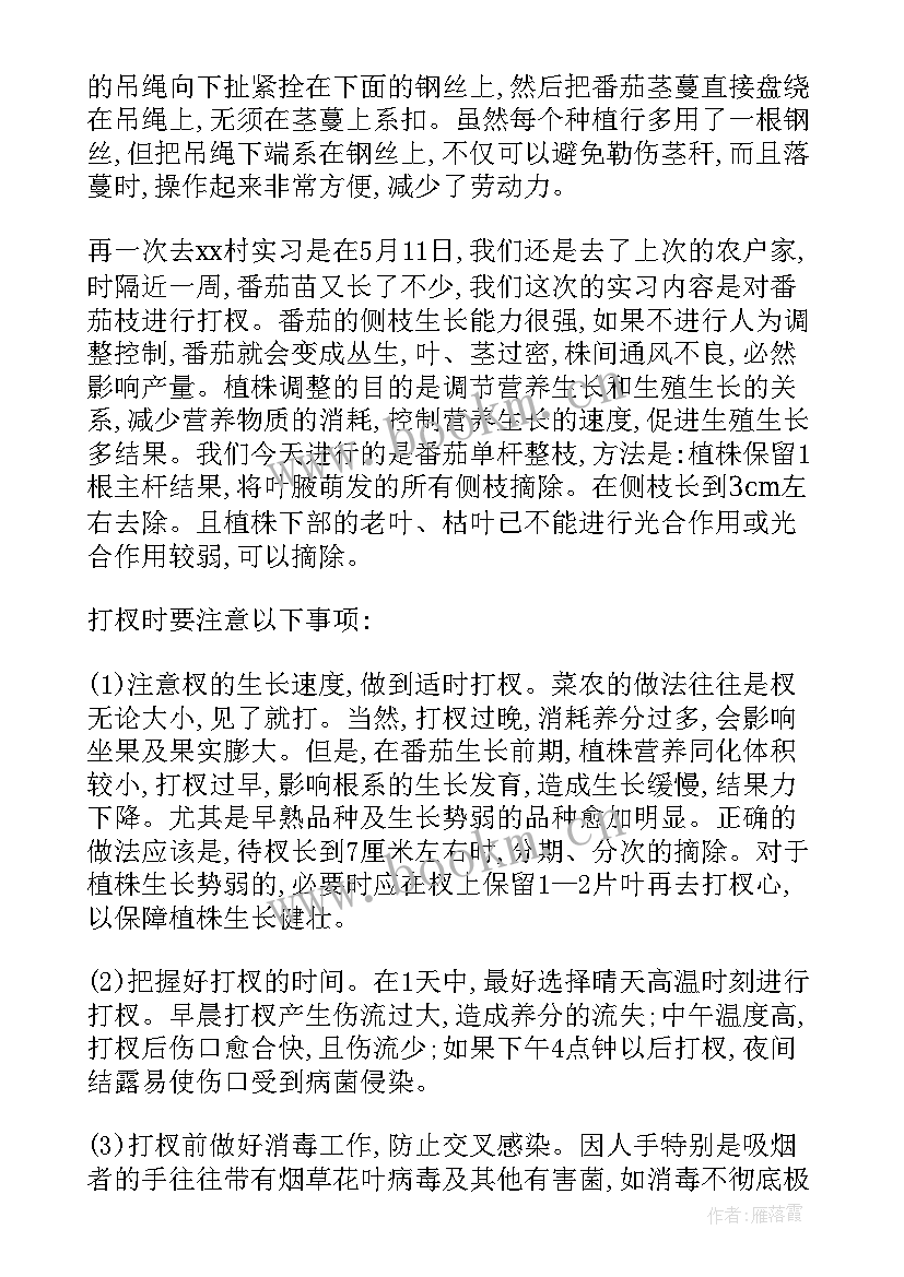 2023年园艺专业实训报告(汇总13篇)