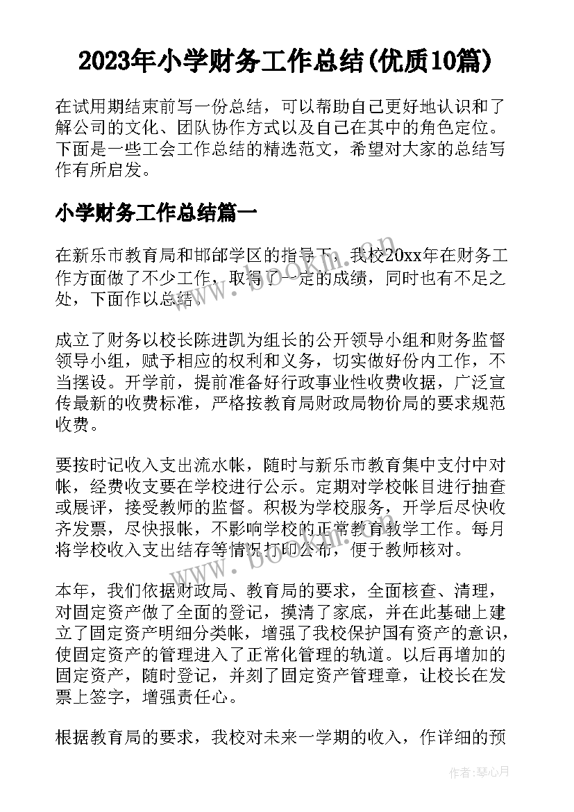 2023年小学财务工作总结(优质10篇)