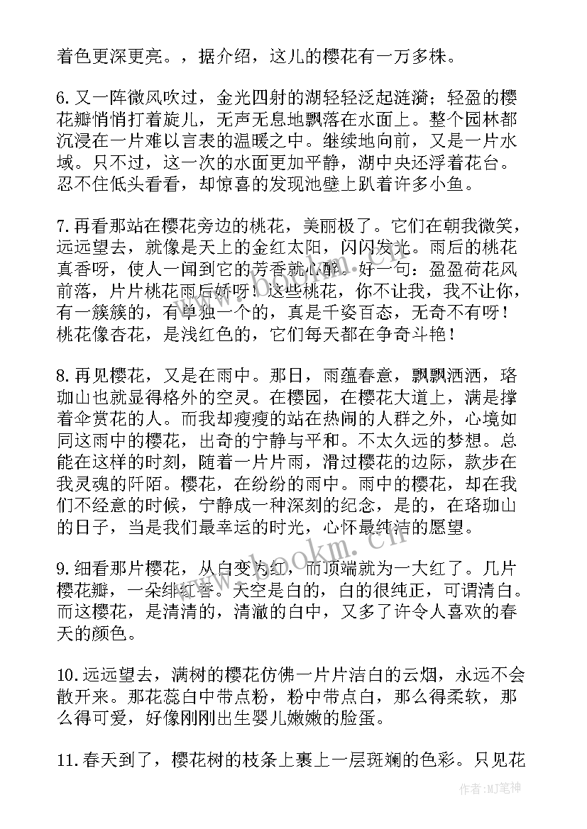 2023年白落梅经典美文短句(优质8篇)