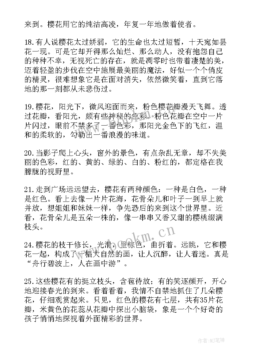 2023年白落梅经典美文短句(优质8篇)