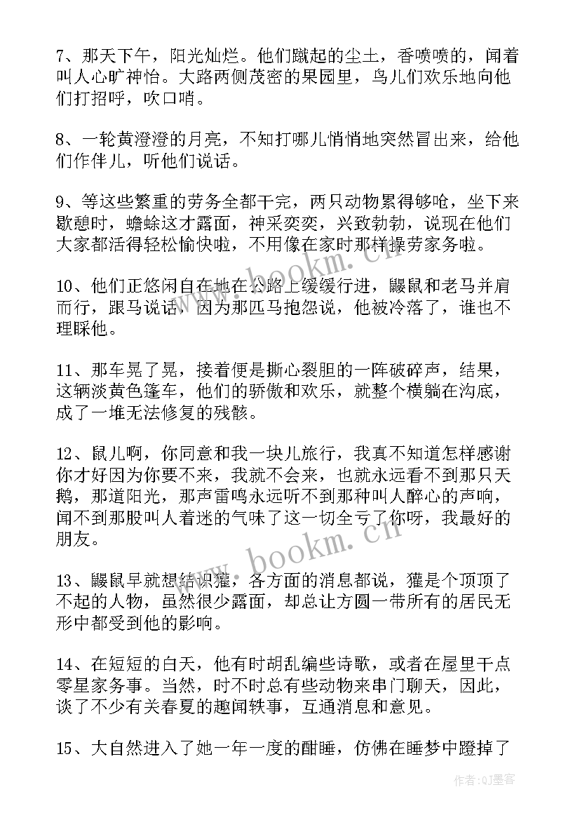 柳林风声读书心得 柳林风声三年级读书笔记(通用11篇)