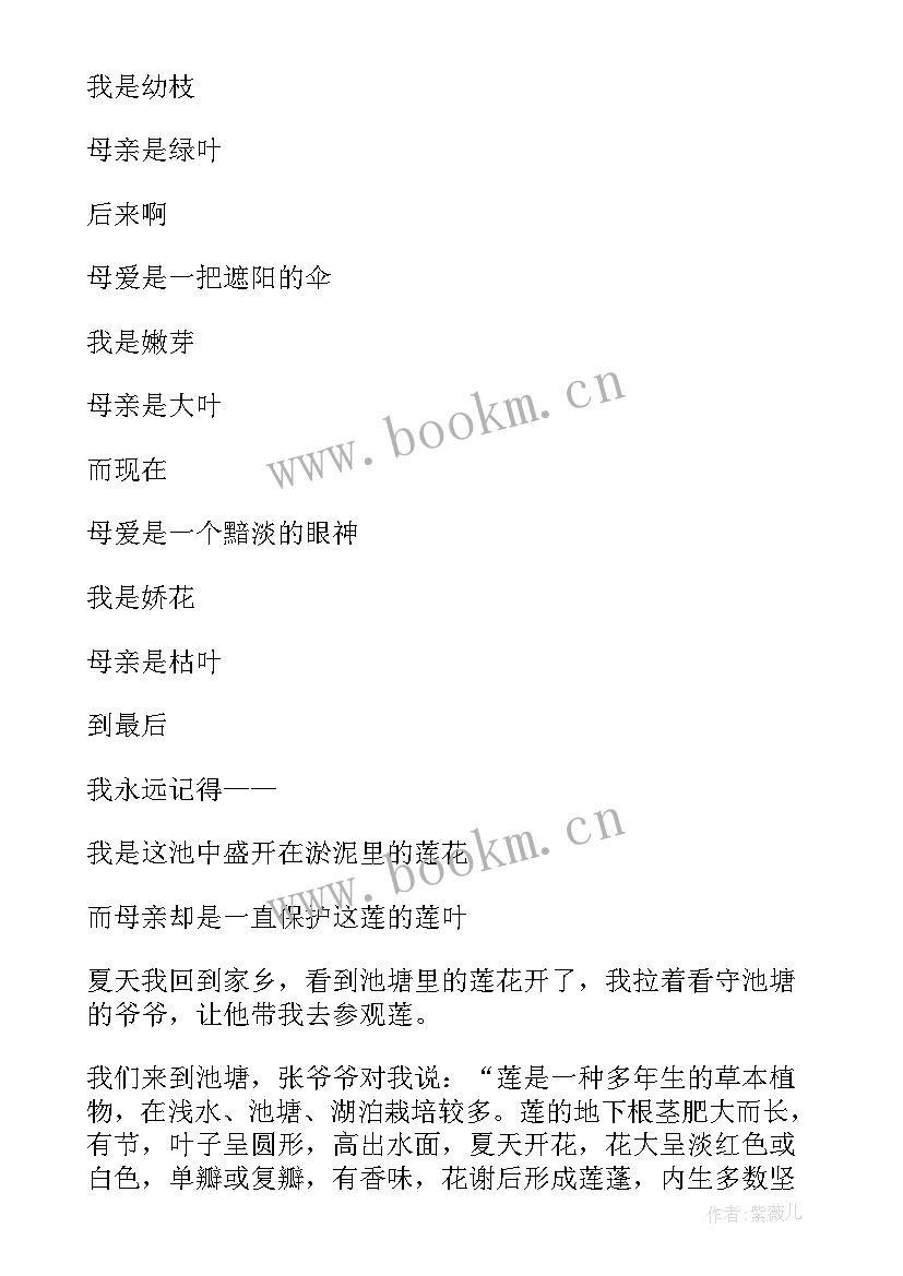 最新莲文化的魅力手抄报内容 八年级第五单元莲文化的魅力(精选8篇)