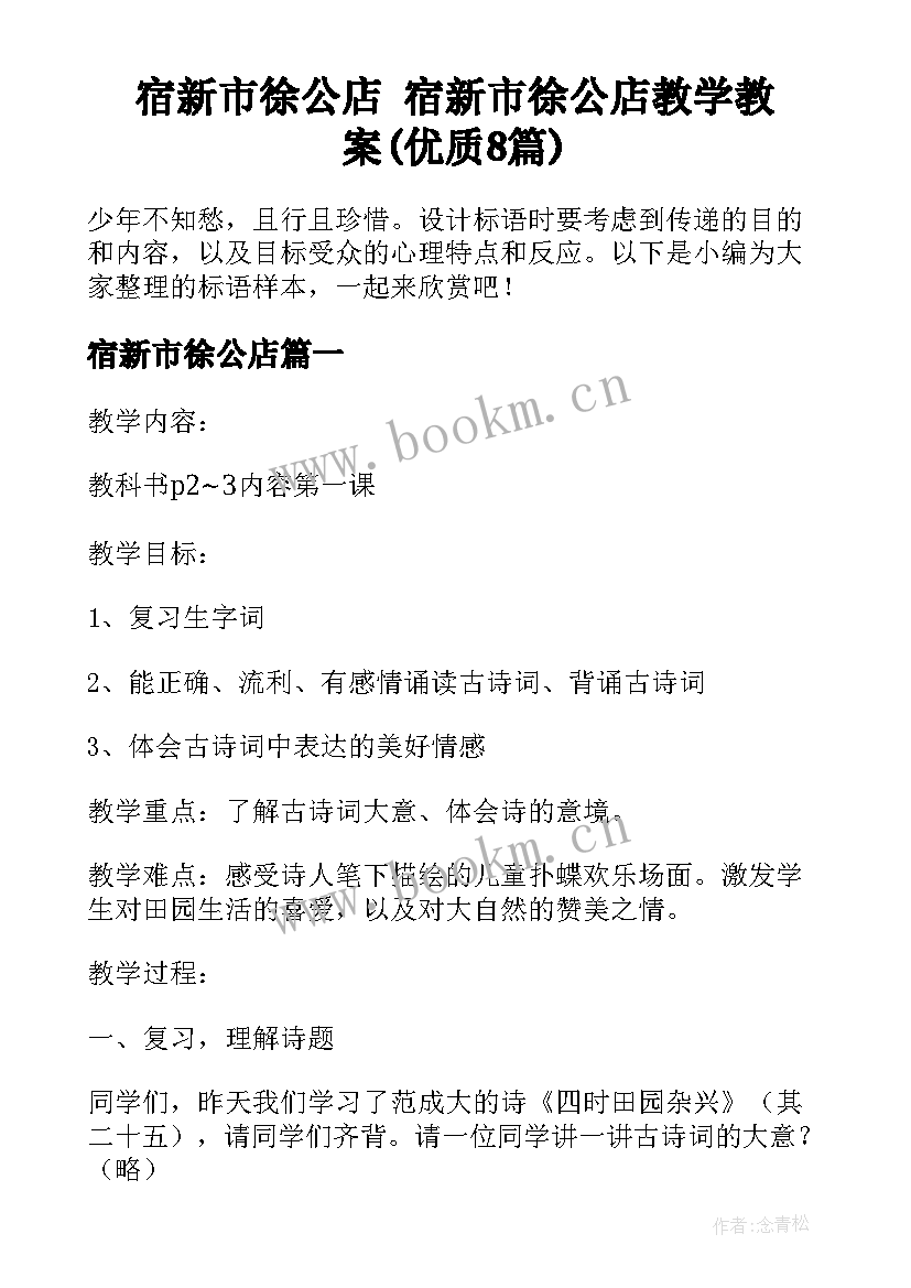 宿新市徐公店 宿新市徐公店教学教案(优质8篇)