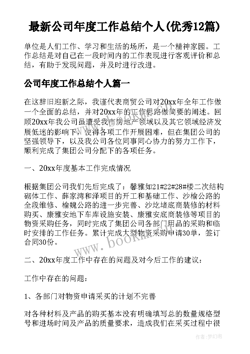 最新公司年度工作总结个人(优秀12篇)