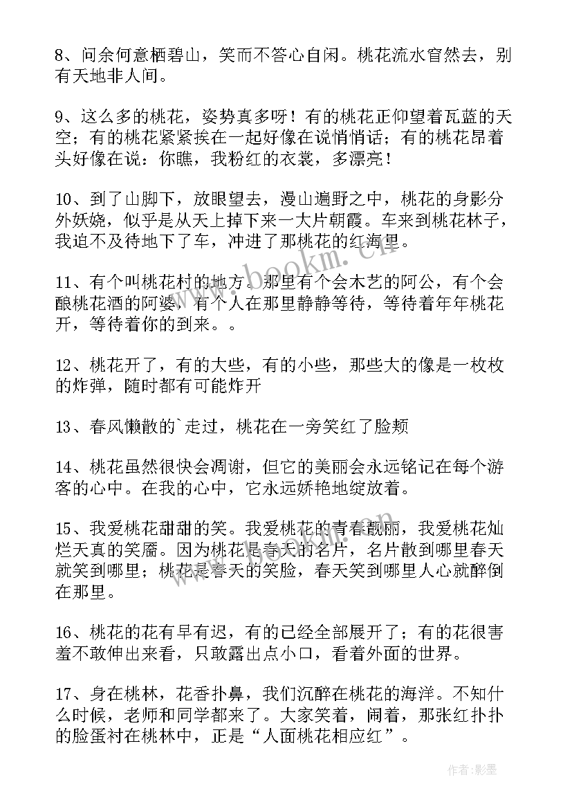 2023年形容桃花句子的形容词 经典形容桃花的句子(通用15篇)