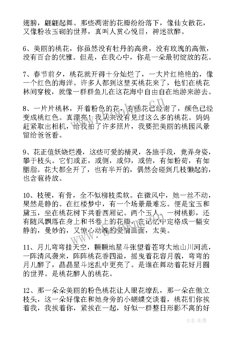 2023年形容桃花句子的形容词 经典形容桃花的句子(通用15篇)