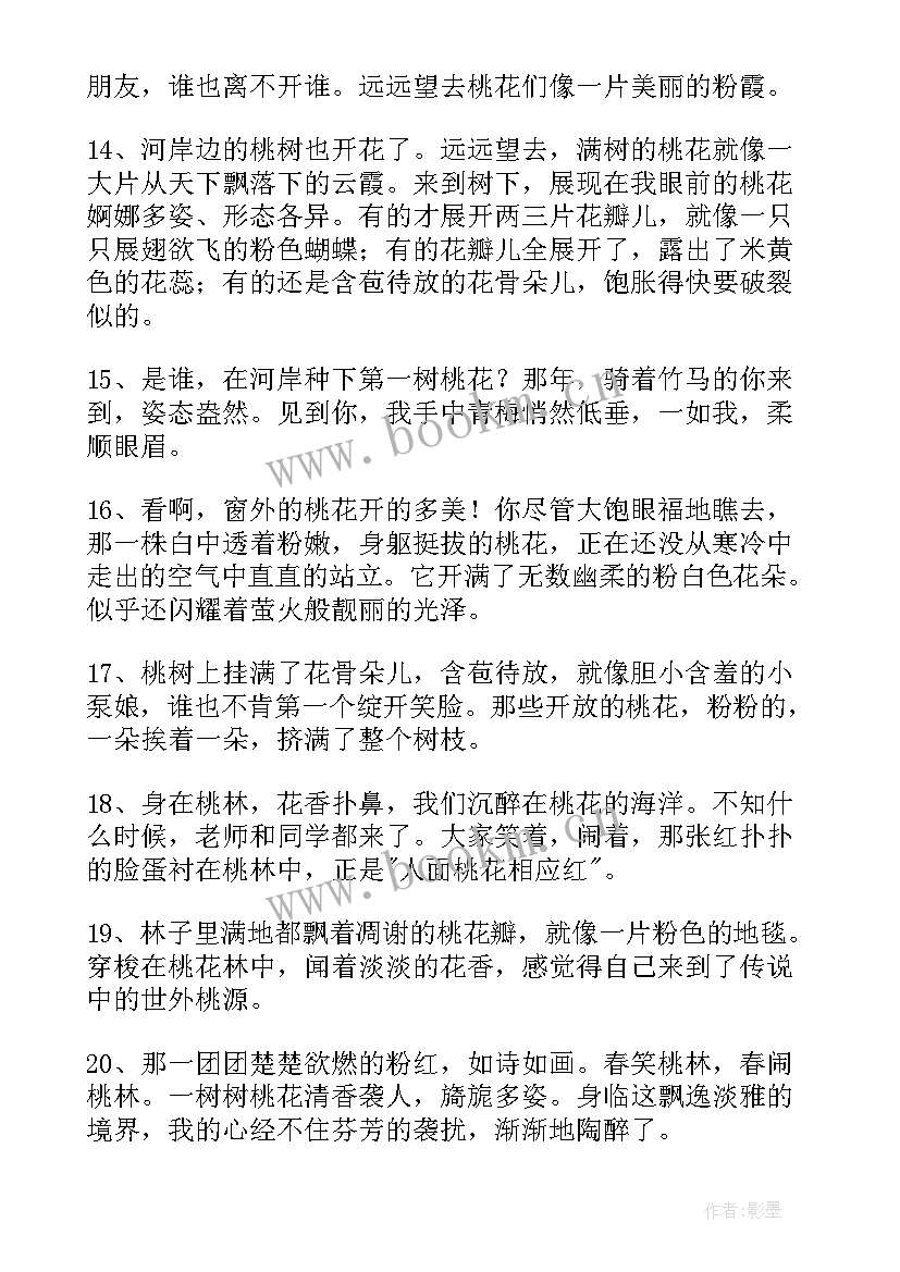 2023年形容桃花句子的形容词 经典形容桃花的句子(通用15篇)