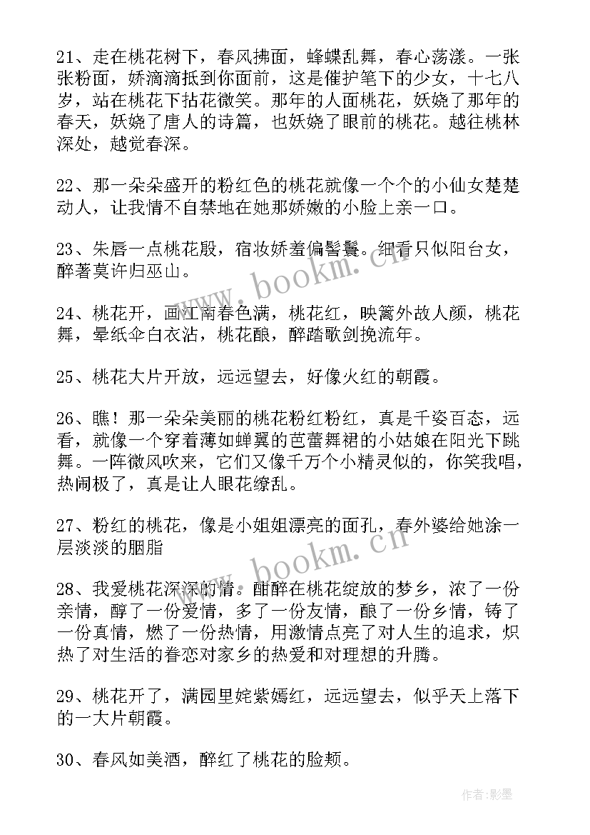 2023年形容桃花句子的形容词 经典形容桃花的句子(通用15篇)