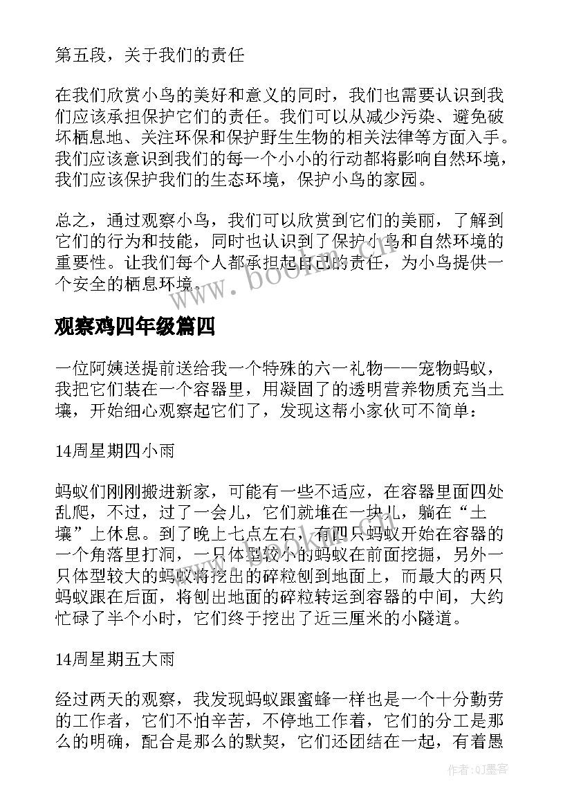 观察鸡四年级 观察鸡翅心得体会(模板11篇)