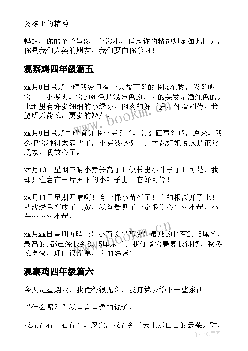 观察鸡四年级 观察鸡翅心得体会(模板11篇)