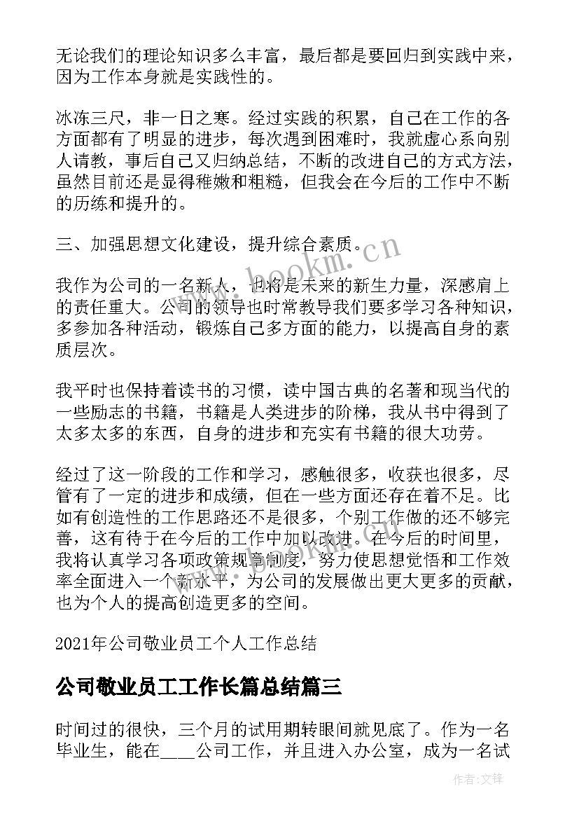 最新公司敬业员工工作长篇总结(实用8篇)