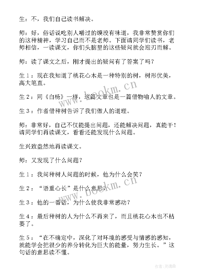 2023年桃花心木教案一等奖(汇总8篇)