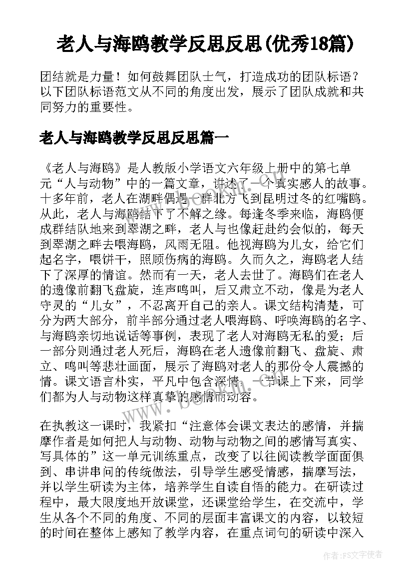 老人与海鸥教学反思反思(优秀18篇)