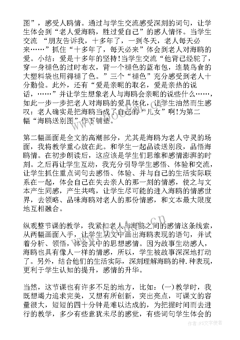 老人与海鸥教学反思反思(优秀18篇)