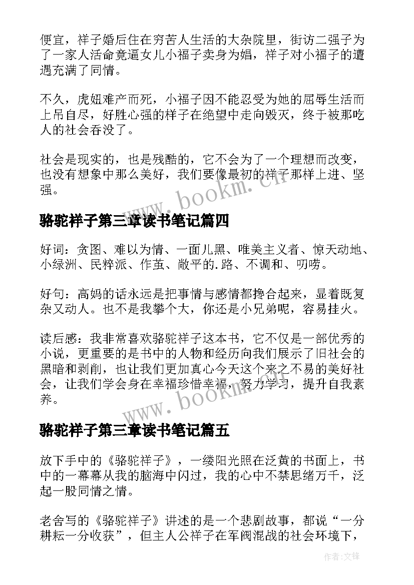 最新骆驼祥子第三章读书笔记(模板8篇)