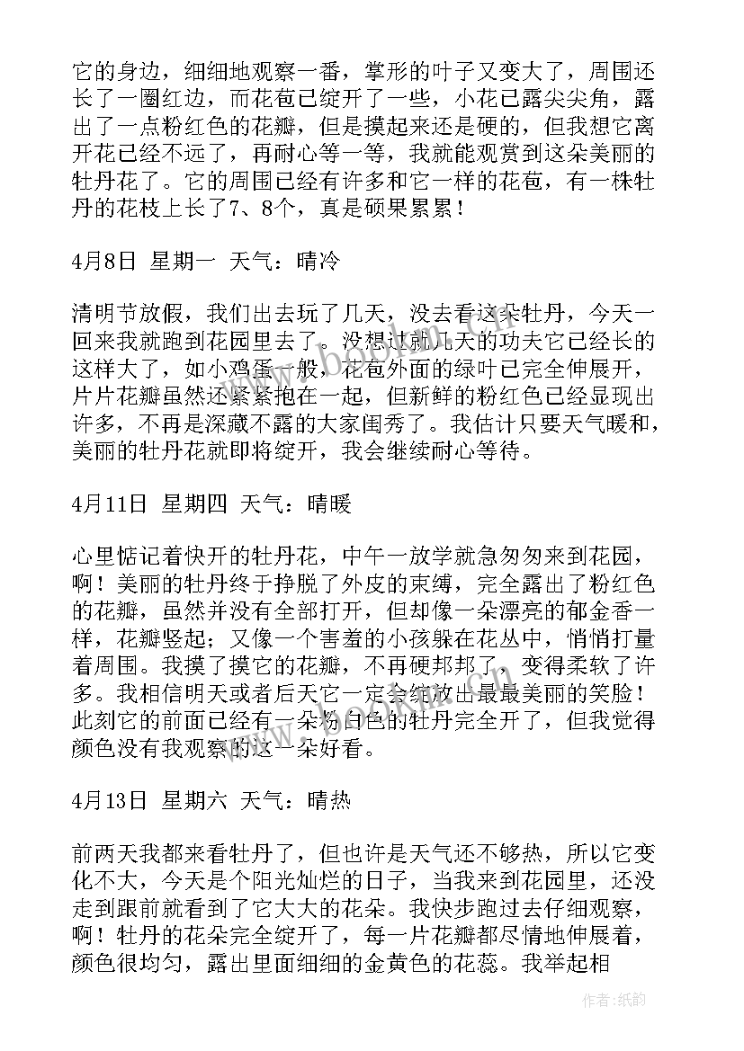 狗的观察精彩句段 观察日记精彩(模板18篇)