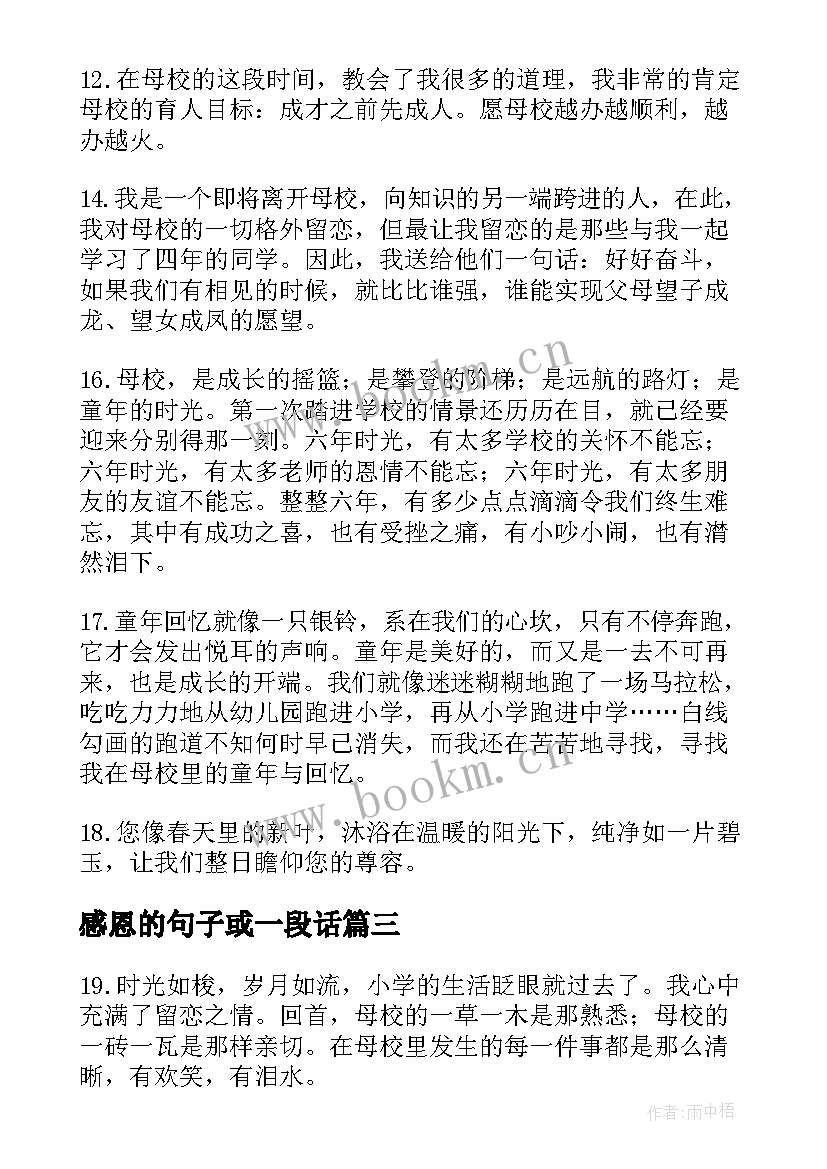 最新感恩的句子或一段话 感恩节最暖心一段话句子(大全6篇)