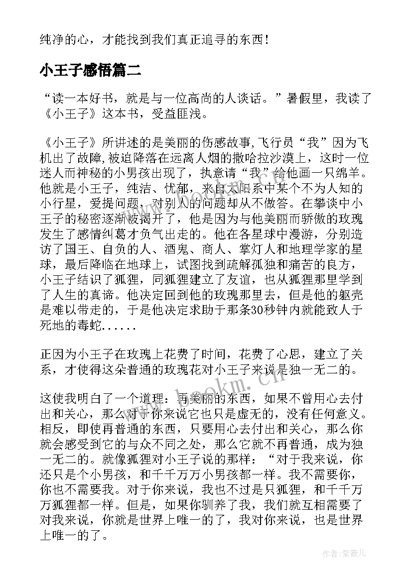 2023年小王子感悟(模板9篇)