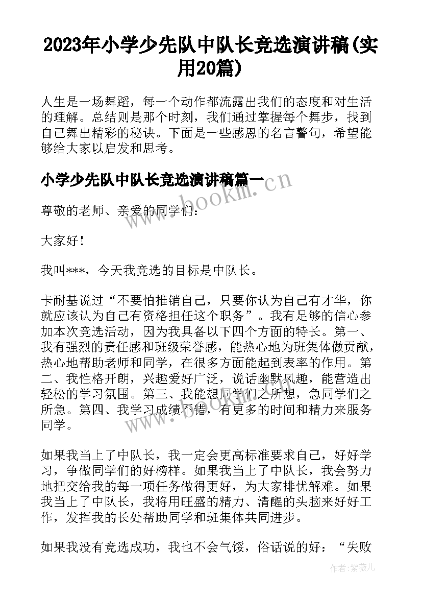 2023年小学少先队中队长竞选演讲稿(实用20篇)