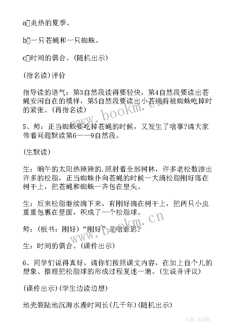 最新琥珀教学设计板书 琥珀教学设计(精选8篇)