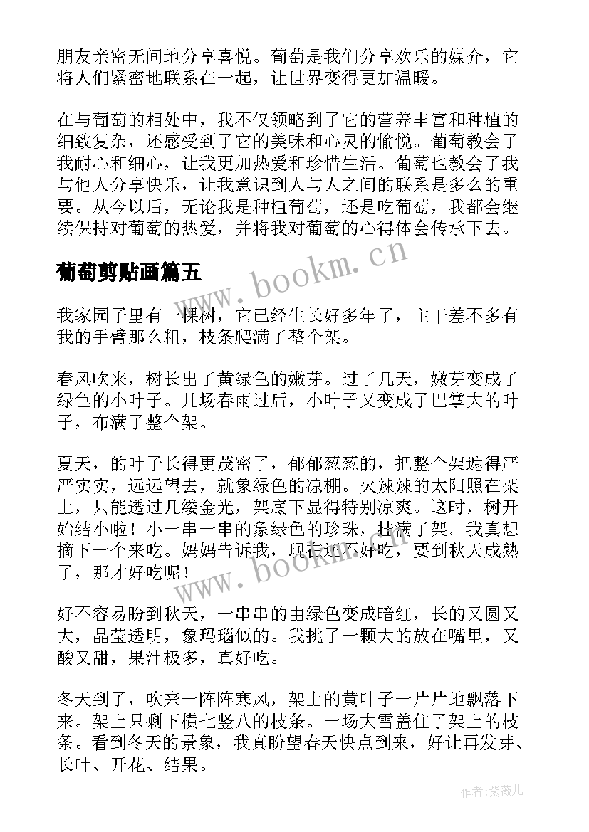 最新葡萄剪贴画 种葡萄心得体会(优秀12篇)