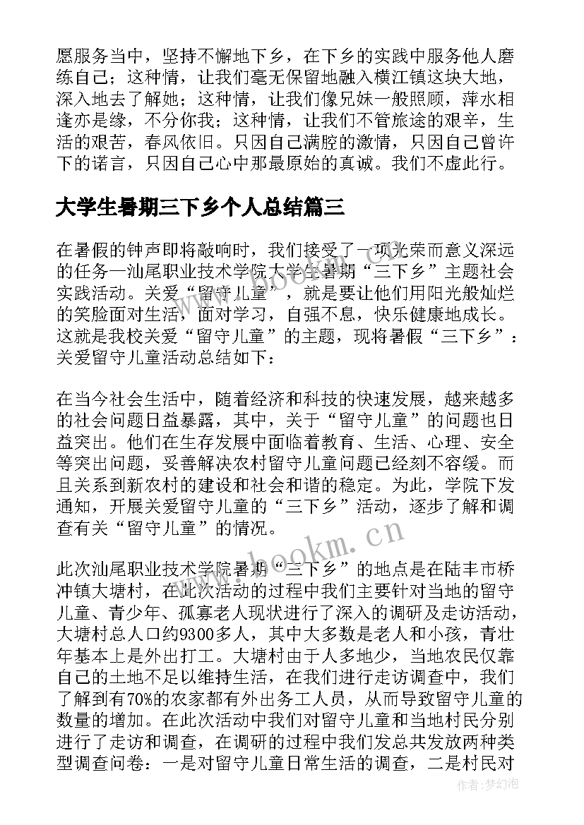 最新大学生暑期三下乡个人总结(模板11篇)